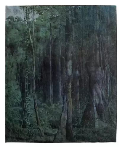 Selva tropical I